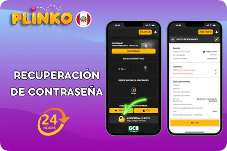 Recuperación de contraseña en Plinko con soporte 24 7